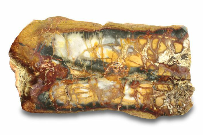 Brilliant Red, Yellow, and Maroon Jasper/Agate Slab #279901